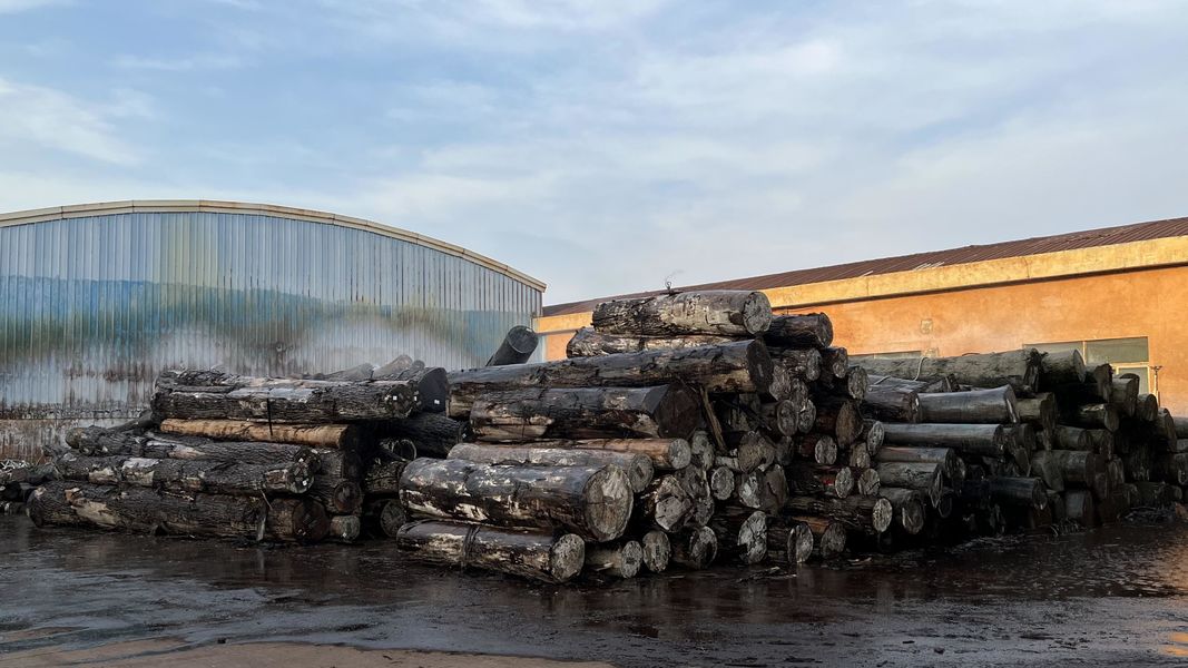 Dongguan Lingfeng Wood Industry Co., Ltd. Produktionslinie des Herstellers