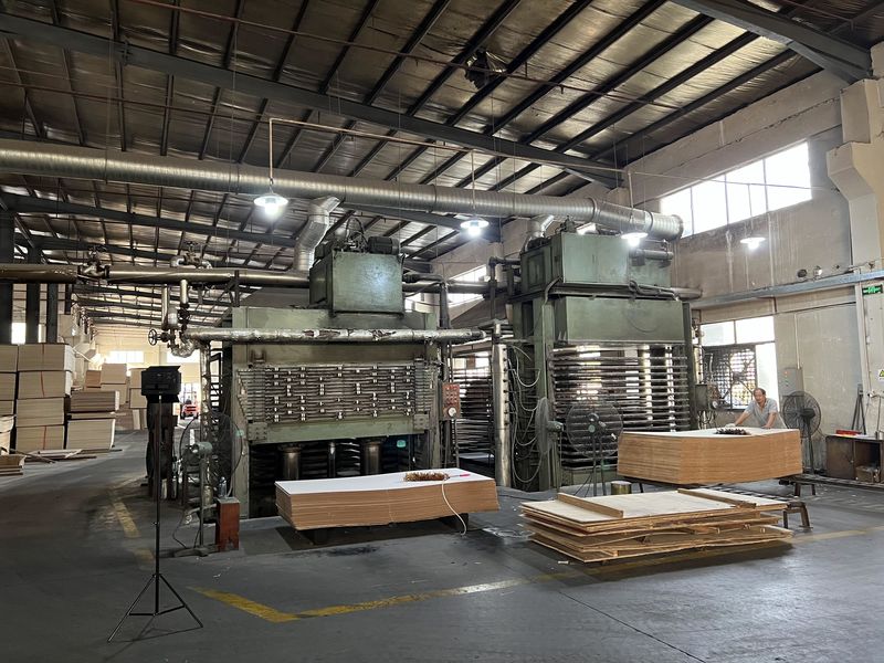 Dongguan Lingfeng Wood Industry Co., Ltd. Produktionslinie des Herstellers