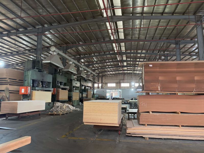 Dongguan Lingfeng Wood Industry Co., Ltd. Produktionslinie des Herstellers