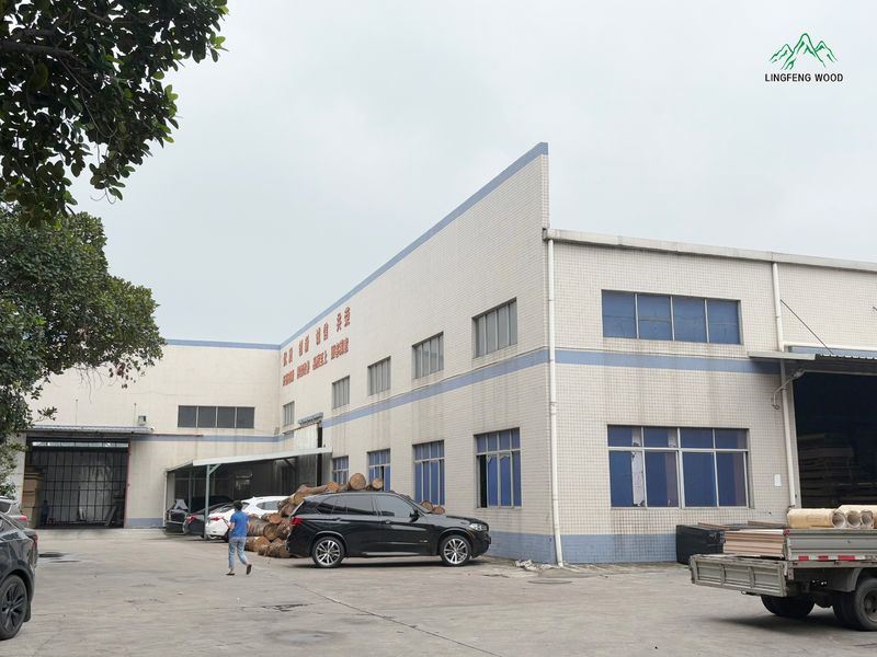 Dongguan Lingfeng Wood Industry Co., Ltd. Produktionslinie des Herstellers